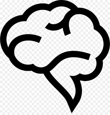 About Your Brain Bubble Human brain - Brain 