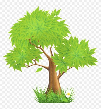 Absolutely True Diary Blogs - Tree Clipart Png