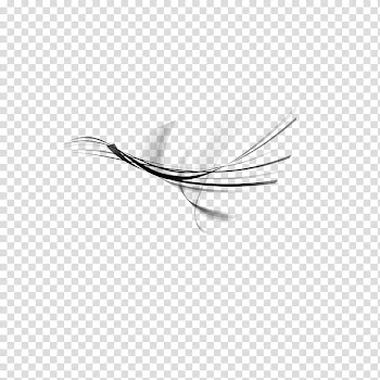 Abstract Aura II , black lines illustration transparent background PNG clipart