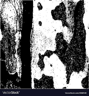  					Abstract Background Bark vector image														