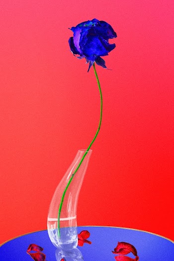 Abstract background, trippy red rose flower | Free stock illustration | High Resolution graphic