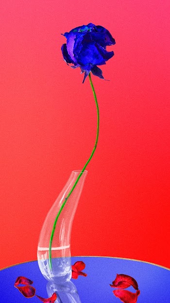 Abstract background, trippy red rose flower | Free stock illustration | High Resolution graphic