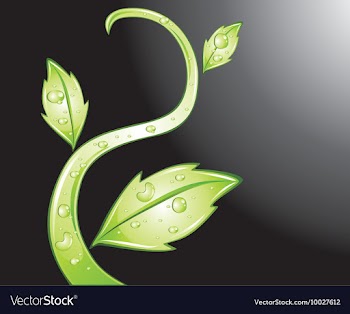 Abstract background with floral vector image
