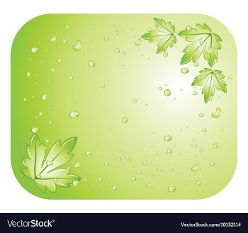 Abstract background with floral vector image