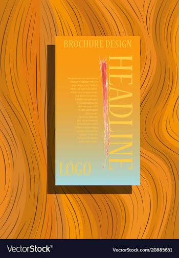 Abstract binder layout a4 brochure cover design vector image