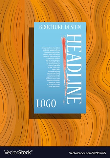 Abstract binder layout a4 brochure cover design vector image