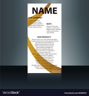 Abstract binder layout white a4 brochure cover vector image