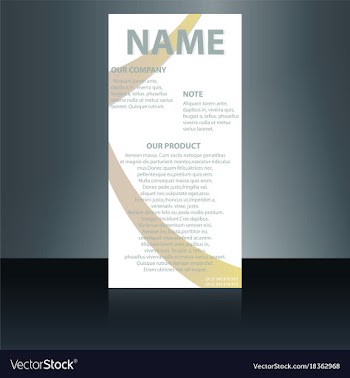 Abstract binder layout white a4 brochure cover vector image