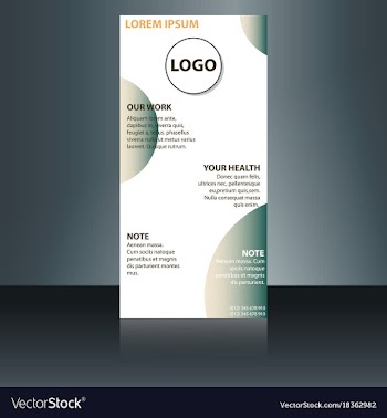 Abstract binder layout white a4 brochure cover vector image