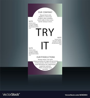 Abstract binder layout white a4 brochure cover vector image