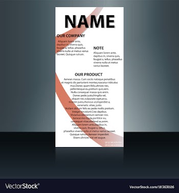 Abstract binder layout white a4 brochure cover vector image