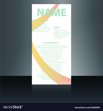 Abstract binder layout white a4 brochure cover vector image
