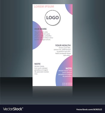 Abstract binder layout white a4 brochure cover vector image