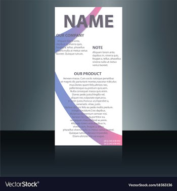 Abstract binder layout white a4 brochure cover vector image
