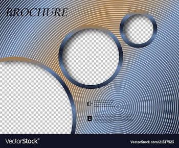 Abstract binder layout white a4 brochure cover vector image