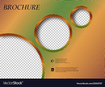 Abstract binder layout white a4 brochure cover vector image