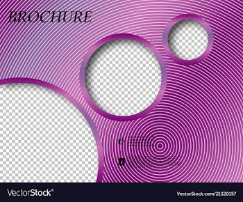 Abstract binder layout white a4 brochure cover vector image