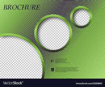 Abstract binder layout white a4 brochure cover vector image