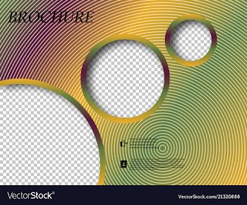 Abstract binder layout white a4 brochure cover vector image