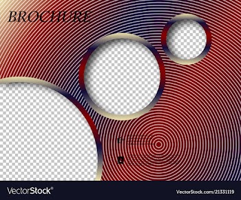 Abstract binder layout white a4 brochure cover vector image