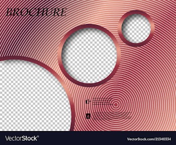 Abstract binder layout white a4 brochure cover vector image