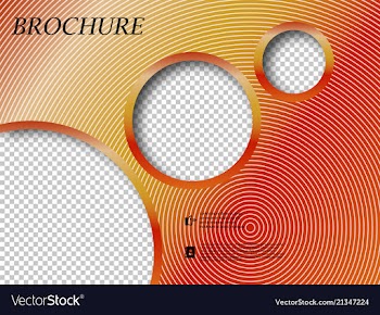 Abstract binder layout white a4 brochure cover vector image