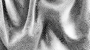 Abstract Black and White Halftone Fabric Waves