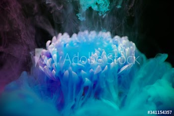 Abstract blue color drop to the water flower shape
