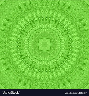Abstract bohemian mandala star fractal background vector image