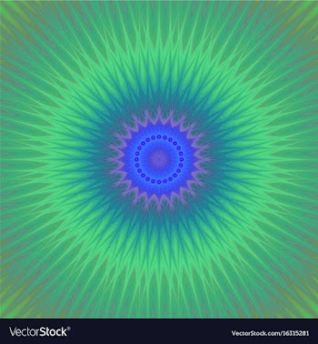 Abstract bohemian mandala star ornament vector image