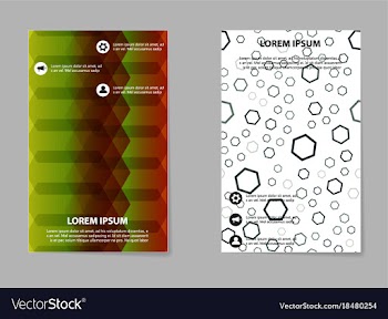 Abstract brochure compositions in business style vector image