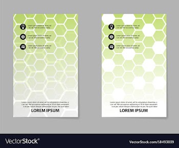 Abstract brochure compositions in business style vector image