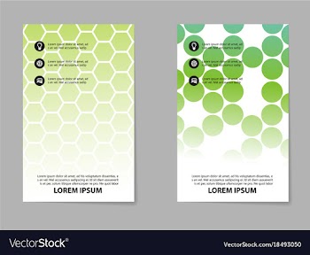 Abstract brochure compositions in business style vector image