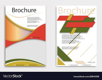 Abstract brochure template flyer layout flat vector image