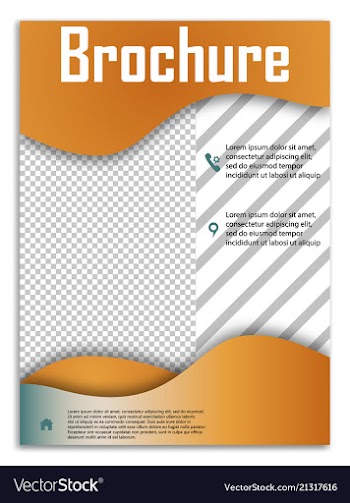 Abstract business template brochure layout cover vector image