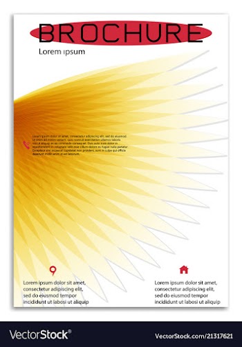 Abstract business template brochure layout cover vector image