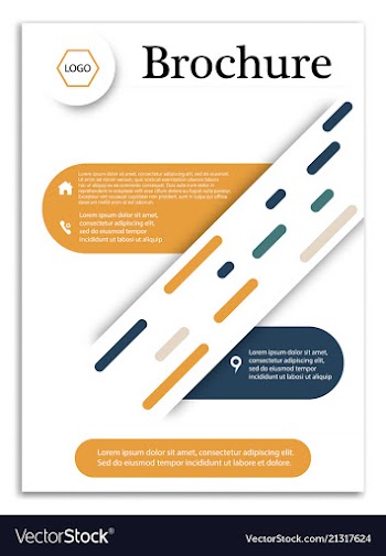 Abstract business template brochure layout cover vector image