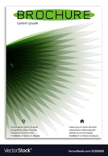 Abstract business template brochure layout cover vector image