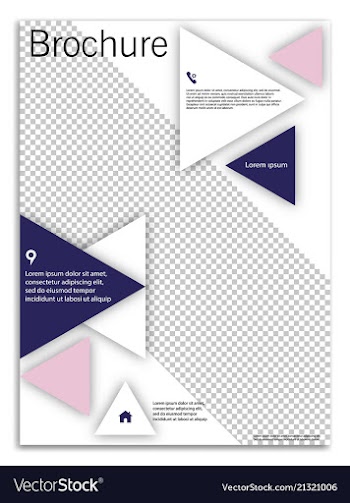 Abstract business template brochure layout cover vector image