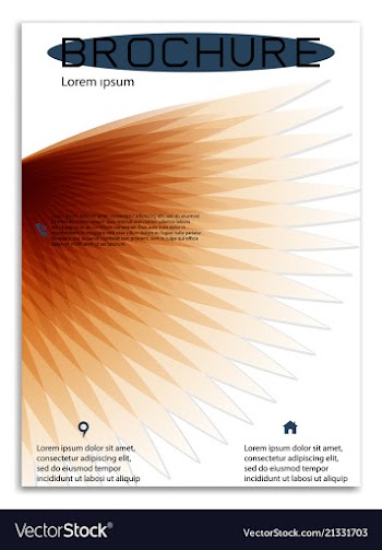 Abstract business template brochure layout cover vector image