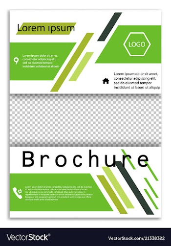 Abstract business template brochure layout cover vector image