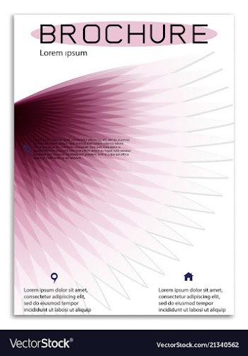 Abstract business template brochure layout cover vector image