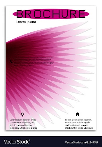 Abstract business template brochure layout cover vector image
