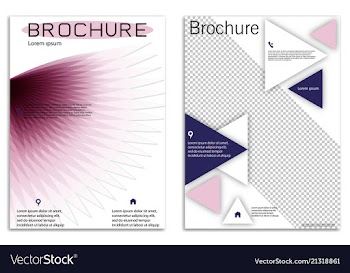 Abstract business template set brochure layout vector image