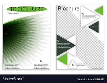 Abstract business template set brochure layout vector image