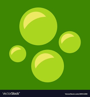 Abstract caviar logo template for caviar business vector image