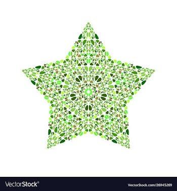 Abstract colorful geometrical floral star symbol vector image