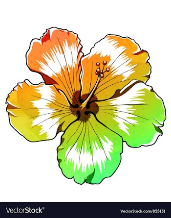  					Abstract colorful hibiscus vector image														