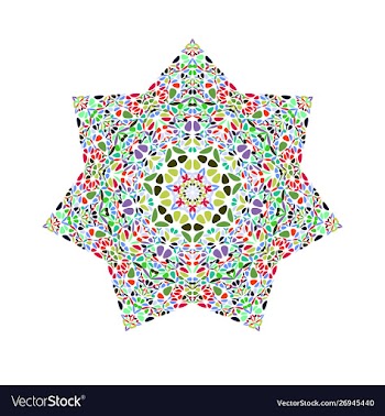 Abstract colorful isolated flower ornament star vector image