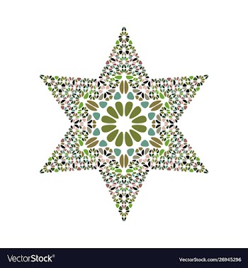 Abstract colorful isolated petal star logo vector image
